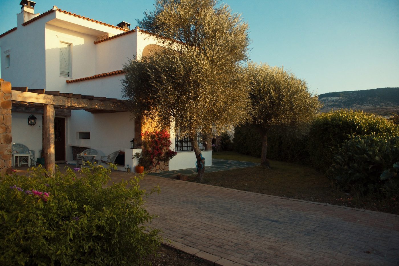 Whitewashed Cypriot villa exterior at golden hour, surrounded by olive trees